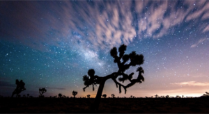 Southern California Attractions, Joshua Tree