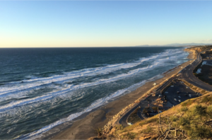 Southern California Attractions, Torrey Pines State Natural Reserve